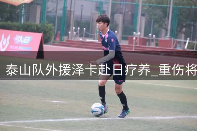 泰山队外援泽卡赴日疗养 重伤将休战近两月